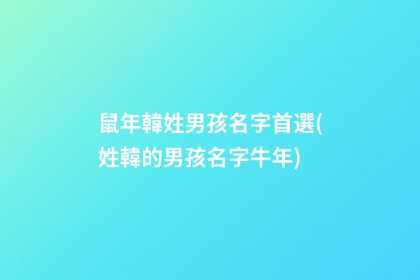 鼠年韓姓男孩名字首選(姓韓的男孩名字牛年)