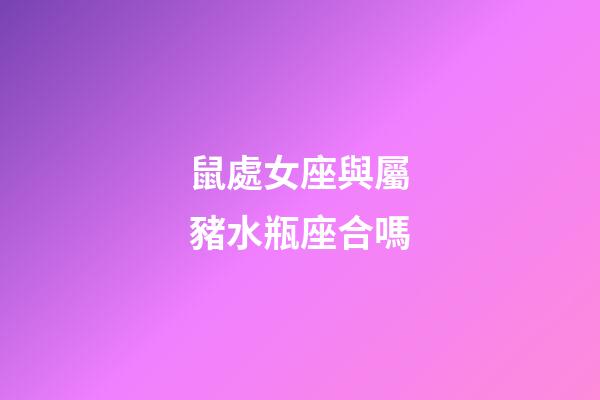 鼠處女座與屬豬水瓶座合嗎-第1張-星座運勢-玄機派