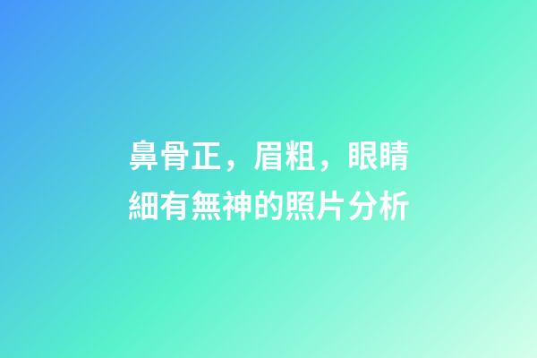 鼻骨正，眉粗，眼睛細有無神的照片分析
