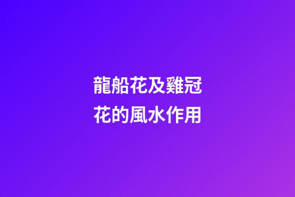 龍船花及雞冠花的風水作用?