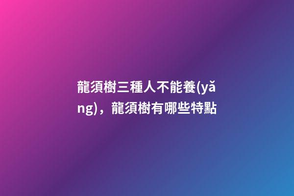 龍須樹三種人不能養(yǎng)，龍須樹有哪些特點