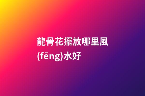 龍骨花擺放哪里風(fēng)水好