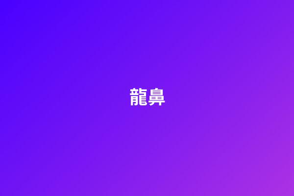 龍鼻