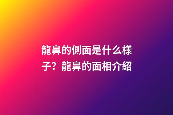 龍鼻的側面是什么樣子？龍鼻的面相介紹